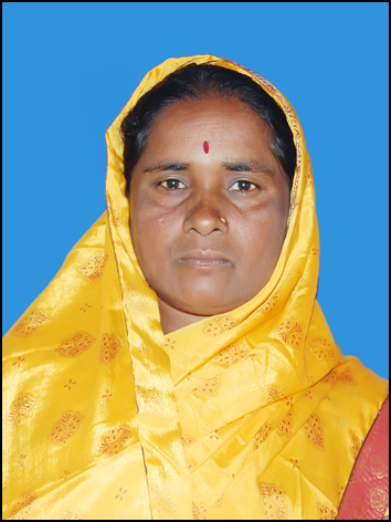 उपसरपंच